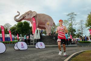 BIB: 
                            <button type="button" onclick="openModal(26529075)" class="btn btn-primary btn-sm float-right btn-popup" data-toggle="modal" data-target=".modal-high-quality">
                        <i class="fas fa-shopping-cart"></i> Add to Cart
                    </button>
                                            <button type="button" onclick="isThisMe(26529075, true)" class="btn btn-success btn-sm float-right btn-popup btn-isme hidden" data-toggle="tooltip" data-placement="bottom" title="นี่คือรูปของคุณใช่ไหม คลิกที่นี่เพื่อเอาเข้าอัลบั้ม">
                        <i class="fas fa-plus"></i> Add to album
                    </button>
                    <button type="button" onclick="isThisMe(26529075, false)" class="btn btn-warning btn-sm float-right btn-popup btn-isnotme hidden">
                        <i class="fas fa-ban"></i> Remove from album
                    </button>